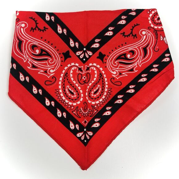 Disney Store Toy Story 4 Baby Sheriff Woody Cowboy Halloween Costume 3-6 Months - Picture 9 of 15